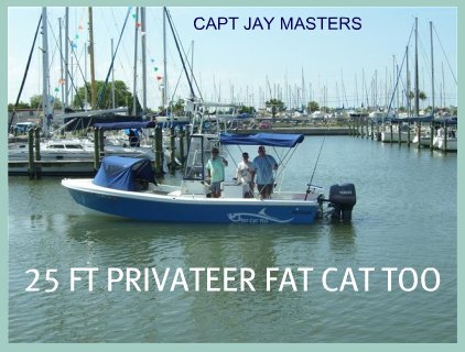 Tampa  Deep  Fishing Charters on Fishing Charters   Fishing Charter Florida   Tampa Bay Charter Fishing